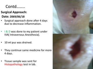 Sheathing Injury A clinical presentation on supporative tenosynovitis in Orthoprdic ward ...