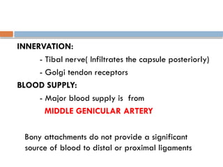 INNERVATION:
- Tibal nerve( Infiltrates the capsule posteriorly)
- Golgi tendon receptors
BLOOD SUPPLY:
- Major blood supply is from
MIDDLE GENICULAR ARTERY
Bony attachments do not provide a significant
source of blood to distal or proximal ligaments
 
