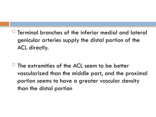  Terminal branches of the inferior medial and lateral
genicular arteries supply the distal portion of the
ACL directly.
 The extremities of the ACL seem to be better
vascularized than the middle part, and the proximal
portion seems to have a greater vascular density
than the distal portion
 