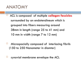 ANATOMY
 ACL is composed of multiple collagen fascicles
surrounded by an endotendineum which is
grouped into fibers measuring around
38mm in length (range 25 to 41 mm) and
10 mm in width (range 7 to 12 mm)
 Microspocially composed of interlacing fibrils
(150 to 250 Nanometer in diamter)
 synovial membrane envelope the ACL
 