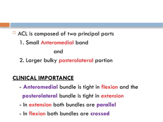  ACL is composed of two principal parts
1. Small Anteromedial band
and
2. Larger bulky posterolateral portion
CLINICAL IMPORTANCE
- Anteromedial bundle is tight in flexion and the
posterolateral bundle is tight in extension
- In extension both bundles are parallel
- In flexion both bundles are crossed
 
