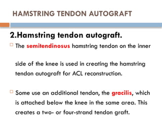 HAMSTRING TENDON AUTOGRAFT
2.Hamstring tendon autograft.
 The semitendinosus hamstring tendon on the inner
side of the knee is used in creating the hamstring
tendon autograft for ACL reconstruction.
 Some use an additional tendon, the gracilis, which
is attached below the knee in the same area. This
creates a two- or four-strand tendon graft.
 