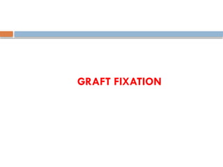 GRAFT FIXATION
 