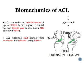 Acl Loading Comprehensive Overview of ACL Injury: Anatomy, Diagnosis, and Treatment ...