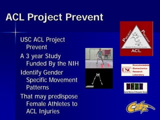 ACL Injury Prevention Program | PDF
