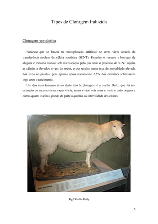 Tipos de Clonagem Induzida


Clonagem reprodutiva


  Processo que se baseia na multiplicação artificial de seres vivos através da
transferência nuclear da célula somática (SCNT). Envolve o recurso a barrigas de
aluguer e trabalho manual sob microscópio, pelo que todo o processo de SCNT sujeita
as células a elevados níveis de stress, o que resulta numa taxa de mortalidade elevada
dos ovos recipientes, pois apenas aproximadamente 2,5% dos embriões sobrevivem
logo após o nascimento.
  Um dos mais famosos alvos deste tipo de clonagem é a ovelha Dolly, que foi um
exemplo do sucesso desta experiência, tendo vivido seis anos e meio e dado origem a
outras quatro ovelhas, pondo de parte a questão da infertilidade dos clones.




                                    Fig.2 Ovelha Dolly


                                                                                    5
 