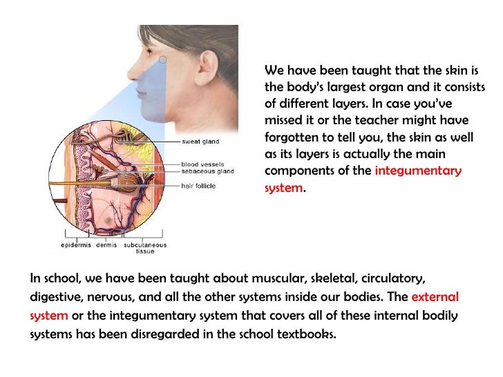 Image result for Skin Care A Very Important Thing To Be Considered