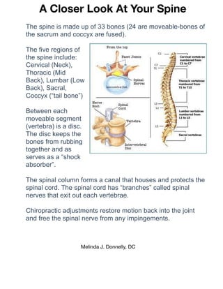 Melinda J. Donnelly, DC

A Closer Look At Your Spine
The spine is made up of 33 bones (24 are moveable-bones of
the sacrum and coccyx are fused).
The five regions of
the spine include:
Cervical (Neck),
Thoracic (Mid
Back), Lumbar (Low
Back), Sacral,
Coccyx (“tail bone”)
Between each
moveable segment
(vertebra) is a disc.
The disc keeps the
bones from rubbing
together and as
serves as a “shock
absorber”.
The spinal column forms a canal that houses and protects the
spinal cord. The spinal cord has “branches” called spinal
nerves that exit out each vertebrae.
Chiropractic adjustments restore motion back into the joint
and free the spinal nerve from any impingements.
 