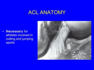 Prevent ACL Injury | PPT