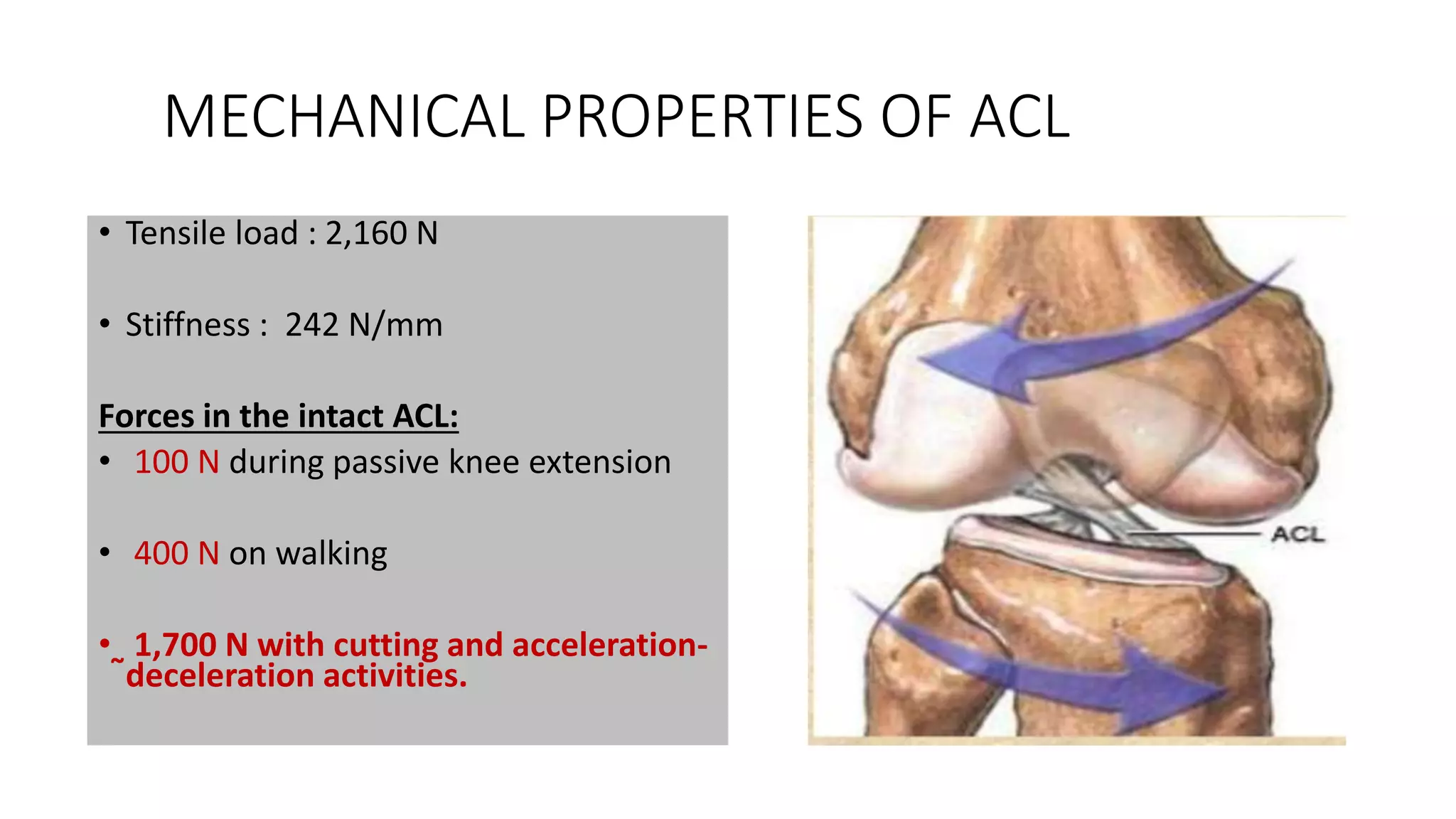 Acl reconstruction | PPTX