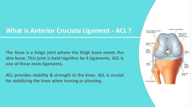 ACL surgery in India ACL surgery cost in India