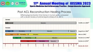 Post ACL Reconstruction Healing Process
Differing ligamentization time frames in human grafts compared
with a recent review of animal reports (Claes et al., 2011)
 