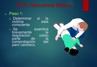 RCP: Secuencia Básica 
 Paso 1: 
 Determinar si la 
victima esta 
consciente 
 Se examina 
brevemente la 
respiración como 
parte de la 
comprobación del 
paro cardíaco. 
 