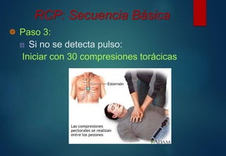 RCP: Secuencia Básica 
Paso 3: 
Si no se detecta pulso: 
Iniciar con 30 compresiones torácicas 
 