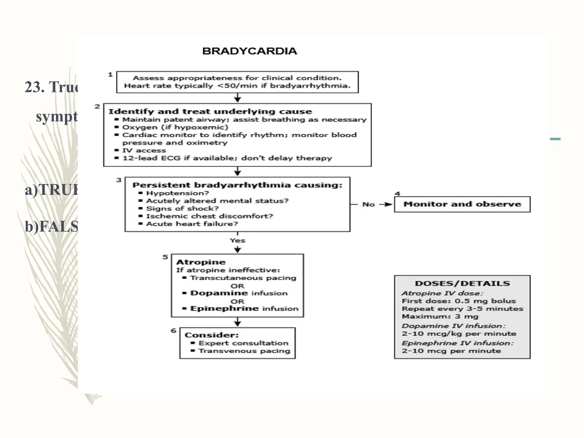 23. True or False: The initial recommended dosage of atropine for
symptomatic bradycardia is 0.5 mg IV.?
a)TRUE
b)FALSE
 