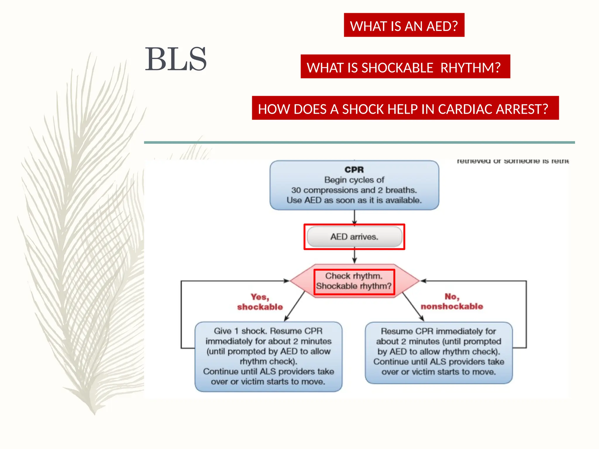 BLS
WHAT IS AN AED?
WHAT IS SHOCKABLE RHYTHM?
HOW DOES A SHOCK HELP IN CARDIAC ARREST?
 