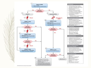 BASIC AND ADVANCED LIFE SUPPORT UPDATED VERSION | PPTX