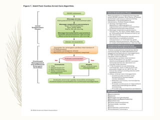 BASIC AND ADVANCED LIFE SUPPORT UPDATED VERSION | PPTX