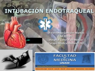 Dr.Fernando González MartíezDr.Fernando González Martíez
MI R2TMIMI R2TMI
Hospital General de MéxicoHospital General de México
Terapia Médica Intensiva 202Terapia Médica Intensiva 202
INTUBACIÓN ENDOTRAQUEALINTUBACIÓN ENDOTRAQUEAL
 