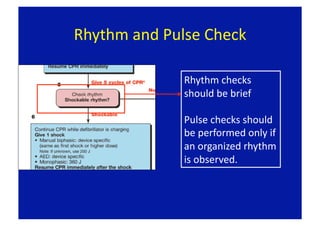 Rhythm and Pulse Check 

              Rhythm checks 
              should be brief 

              Pulse checks should 
              be performed only if 
              an organized rhythm 
              is observed. 
 
