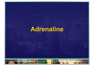 Adrenaline
 