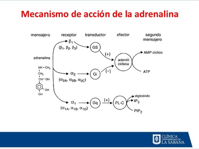 Acls farmacologia clinica