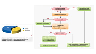 Acld Advanced Algorithm Advanced ACLS Algorithms and 2025 Updates in Cardiac Care | PPTX