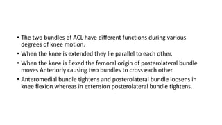 • The two bundles of ACL have different functions during various
degrees of knee motion.
• When the knee is extended they lie parallel to each other.
• When the knee is flexed the femoral origin of posterolateral bundle
moves Anteriorly causing two bundles to cross each other.
• Anteromedial bundle tightens and posterolateral bundle loosens in
knee flexion whereas in extension posterolateral bundle tightens.
 