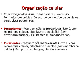 Organização celular Com exceção dos vírus, todos os seres  vivos são formados por células. De acordo com o tipo de célula os seres vivos podem ser: Procariontes  -  Possuem células  procariotas , isto é, com membrana celular, citoplasma e nucleóide (sem envoltório nuclear). Ex.: bactérias, cianobactérias. Eucariontes  -  Possuem células  eucariotas , isto é, com membrana celular, citoplasma e núcleo (com membrana celular). Ex.: protistas, fungos, plantas e animais.   