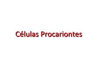 Células Procariontes   