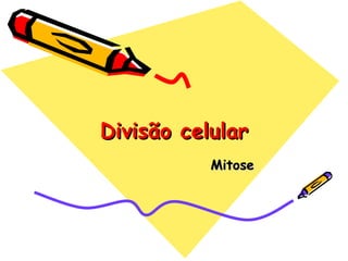Divisão celular Mitose 