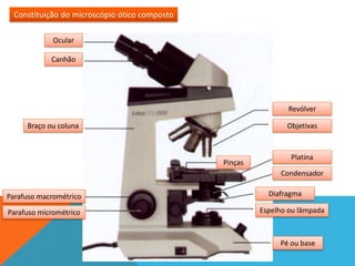Constituição do microscópio ótico composto

             Ocular

            Canhão




                                                              Revólver

     Braço ou coluna                                          Objetivas


                                                               Platina
                                              Pinças
                                                            Condensador

Parafuso macrométrico                                    Diafragma

Parafuso micrométrico                                  Espelho ou lâmpada



                                                            Pé ou base
 