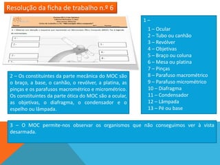 Resolução da ficha de trabalho n.º 6
                                                        1–
                                                         1 – Ocular
                                                         2 – Tubo ou canhão
                                                         3 – Revólver
                                                         4 – Objetivas
                                                         5 – Braço ou coluna
                                                         6 – Mesa ou platina
                                                         7 – Pinças
 2 – Os constituintes da parte mecânica do MOC são       8 – Parafuso macrométrico
 o braço, a base, o canhão, o revólver, a platina, as    9 – Parafuso micrométrico
 pinças e os parafusos macrométrico e micrométrico.      10 – Diafragma
 Os constituintes da parte ótica do MOC são a ocular,    11 – Condensador
 as objetivas, o diafragma, o condensador e o            12 – Lâmpada
 espelho ou lâmpada.                                     13 – Pé ou base


 3 – O MOC permite-nos observar os organismos que não conseguimos ver à vista
 desarmada.
 
