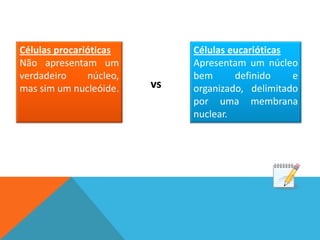 Células procarióticas         Células eucarióticas
Não apresentam um             Apresentam um núcleo
verdadeiro     núcleo,        bem      definido    e
mas sim um nucleóide.    vs   organizado, delimitado
                              por uma membrana
                              nuclear.
 