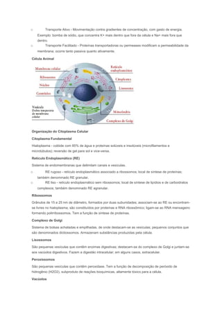 o        Transporte Ativo - Movimentação contra gradientes de concentração, com gasto de energia.
    Exemplo: bomba de sódio, que concentra K+ mais dentro que fora da célula e Na+ mais fora que
    dentro.
o        Transporte Facilitado - Proteínas transportadoras ou permeases modificam a permeabilidade da
    membrana; ocorre tanto passiva quanto ativamente.

Célula Animal




Organização do Citoplasma Celular

Citoplasma Fundamental

Hialoplasma - colóide com 85% de água e proteínas solúveis e insolúveis (microfilamentos e
microtúbulos); reversão de gel para sol e vice-versa.

Retículo Endoplasmático (RE)

Sistema de endomembranas que delimitam canais e vesículas.
o        RE rugoso - retículo endoplasmático associado a ribossomos; local de síntese de proteínas;
    também denominado RE granular.
o       RE liso - retículo endoplasmático sem ribossomos; local de síntese de lipídios e de carboidratos
    complexos; também denominado RE agranular.

Ribossomos

Grânulos de 15 a 25 nm de diâmetro, formados por duas subunidades; associam-se ao RE ou encontram-
se livres no hialoplasma; são constituídos por proteínas e RNA ribossômico; ligam-se ao RNA mensageiro
formando polirribossomos. Tem a função de síntese de proteínas.

Complexo de Golgi

Sistema de bolsas achatadas e empilhadas, de onde destacam-se as vesículas; pequenos conjuntos que
são denominados dictiossomos. Armazenam substâncias produzidas pela célula.

Lisossomos

São pequenas vesículas que contêm enzimas digestivas; destacam-se do complexo de Golgi e juntam-se
aos vacúolos digestivos. Fazem a digestão intracelular; em alguns casos, extracelular.

Peroxissomos

São pequenas vesículas que contêm peroxidase. Tem a função de decomposição de peróxido de
hidrogênio (H2O2), subproduto de reações bioquímicas, altamente tóxico para a célula.

Vacúolos
 