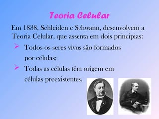 Teoria Celular 
Em 1838, Schleiden e Schwann, desenvolvem a 
Teoria Celular, que assenta em dois principias: 
 Todos os seres vivos são formados 
por células; 
 Todas as células têm origem em 
células preexistentes. 
 