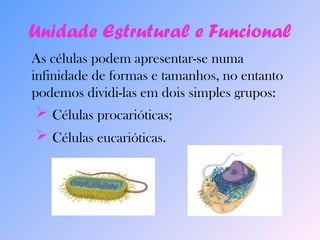 Unidade Estrutural e Funcional 
As células podem apresentar-se numa 
infinidade de formas e tamanhos, no entanto 
podemos dividi-las em dois simples grupos: 
 Células procarióticas; 
 Células eucarióticas. 
 