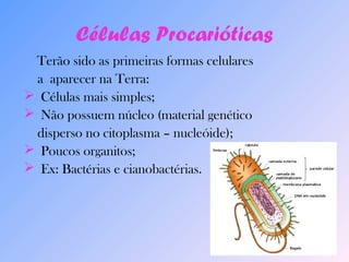 Células Procarióticas 
Terão sido as primeiras formas celulares 
a aparecer na Terra: 
 Células mais simples; 
 Não possuem núcleo (material genético 
disperso no citoplasma – nucleóide); 
 Poucos organitos; 
 Ex: Bactérias e cianobactérias. 
 