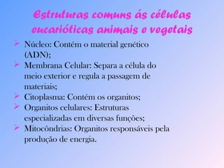 Estruturas comuns ás células 
eucarióticas animais e vegetais 
 Núcleo: Contém o material genético 
(ADN); 
 Membrana Celular: Separa a célula do 
meio exterior e regula a passagem de 
materiais; 
 Citoplasma: Contém os organitos; 
 Organitos celulares: Estruturas 
especializadas em diversas funções; 
 Mitocôndrias: Organitos responsáveis pela 
produção de energia. 
 