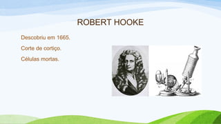 ROBERT HOOKE
Descobriu em 1665.
Corte de cortiço.
Células mortas.
 
