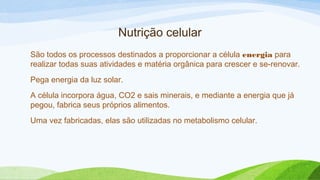 Nutrição celular
São todos os processos destinados a proporcionar a célula energia para
realizar todas suas atividades e matéria orgânica para crescer e se-renovar.
Pega energia da luz solar.
A célula incorpora água, CO2 e sais minerais, e mediante a energia que já
pegou, fabrica seus próprios alimentos.
Uma vez fabricadas, elas são utilizadas no metabolismo celular.
 
