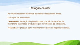 Relação celular
As células recebem estímulos do médio e respondem a eles.
Dois tipos de movimento:
*Ameboide: formação de pseudopodos que são expansões da
membrana plasmática produzidos por movimentos do citoplasma.
*Vibrátil: se produze pôr o movimento de cílios ou flagelos da célula.
 