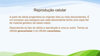 Reprodução celular
A partir da célula progenitora se originam dois ou mais descendentes. É
um processo que assegura que cada descendente tenha uma cópia fiel
de material genético da célula madre.
Dependendo do tipo de célula a reprodução é uma ou outra. Temos as
células procariotas e as células eucariotas.
 