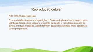 Reprodução celular
Nas células procariotas:
É uma divisão simples por bipartição: o DNA se duplica e forma duas copias
idênticas. Cada cópia vai para um ponto da célula e mais tarde a célula se
divide em duas metades. Assim formam duas células filhas, mais pequenas
que a progenitora.
 