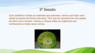 3ª Sessão
Com plastilina e todos os materiais que precisem, temos que fazer uma
célula eucariota de forma individual. Tem que ter tamanho de uma pelota
de tênis como mínimo. Vamos a colocar todos os orgânulos que
conhecemos e todos seus nomes.
 
