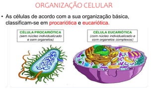 ORGANIZAÇÃO CELULAR
• As células de acordo com a sua organização básica,
classificam-se em procariótica e eucariótica.
 