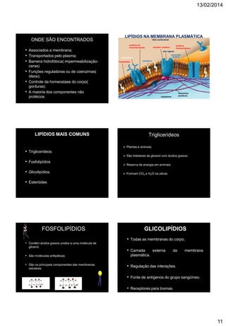 13/02/2014
11
ONDE SÃO ENCONTRADOS
• Associados a membrana;
• Transportados pelo plasma;
• Barreira hidrofóbica( impermeabilização-
ceras)
• Funções reguladoras ou de coenzimas(
óleos);
• Controle da homeostase do corpo(
gorduras)
• A maioria dos componentes não
protéicos.
www.bioaula.com.br
Meio extracelular
citoplasma
filamentos
protéicos
proteína de
reconhecimento receptor protéico
proteína
transportadora
sítio ligante
bicamada
lipídica
fosfolipídio colesterol
carboidrato
LIPÍDIOS NA MEMBRANA PLASMÁTICA
LIPÍDIOS MAIS COMUNS
• Triglicerideos
• Fosfolipídios
• Glicolipídios
• Esteróides
Triglicerideos
 Plantas e animais;
 São triésteres de glicerol com ácidos graxos;
 Reserva de energia em animais;
 Formam CO2 e H2O na célula.
FOSFOLIPÍDIOS
• Contêm ácidos graxos unidos a uma molécula de
glicerol.
• São moléculas anfipáticas.
• São os principais componentes das membranas
celulares.
GLICOLIPÍDIOS
• Todas as membranas do corpo.
• Camada externa da membrana
plasmática.
• Regulação das interações.
• Fonte de antígenos do grupo sangüíneo.
• Receptores para toxinas.
 