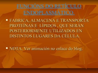 FUNCIÓNS DO RETÍCULO
ENDOPLASMÁTICO.


FABRICA, ALMACENA E TRANSPORTA
PROTEÍNAS E LÍPIDOS , QUE SERÁN
POSTERIORMENTE UTILIZADOS EN
DISTINTOS LUGARES DA CÉLULA.



NOTA. Ver animación no enlace do blog.

 
