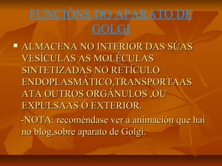 FUNCIÓNS DO APARATO DE
GOLGI


ALMACENA NO INTERIOR DAS SÚAS
VESÍCULAS AS MOLÉCULAS
SINTETIZADAS NO RETÍCULO
ENDOPLASMÁTICO,TRANSPORTAAS
ATA OUTROS ORGÁNULOS ,OU
EXPULSAAS Ó EXTERIOR.
-NOTA: recoméndase ver a animación que hai
no blog,sobre aparato de Golgi.

 