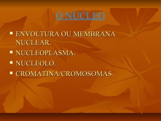 O NÚCLEO






ENVOLTURA OU MEMBRANA
NUCLEAR.
NUCLEOPLASMA.
NUCLEOLO.
CROMATINA/CROMOSOMAS.

 